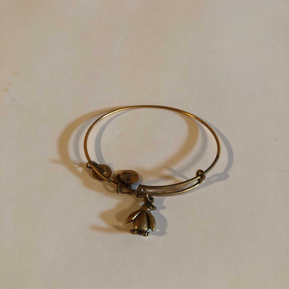 Alex and Ani penguin bracelet